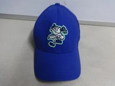 Vintage Bimm Ridder MiLB Asheville Tourists Snapback Toddler OSFA Ballcap Moon