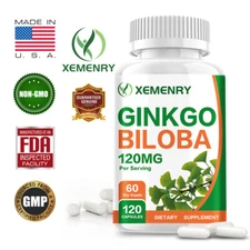 Ginkgo Biloba Capsules 120mg - Support Memory Concentration Healthy Brain