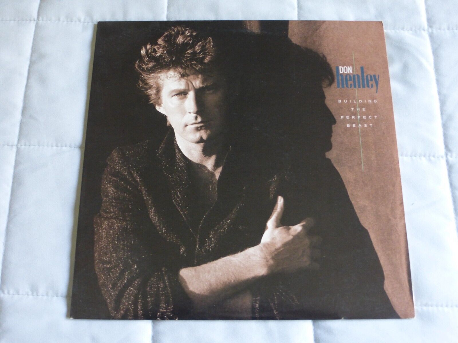 Don Henley – Building The Perfect Beast Geffen 1984 Vinyl LP Excellent
