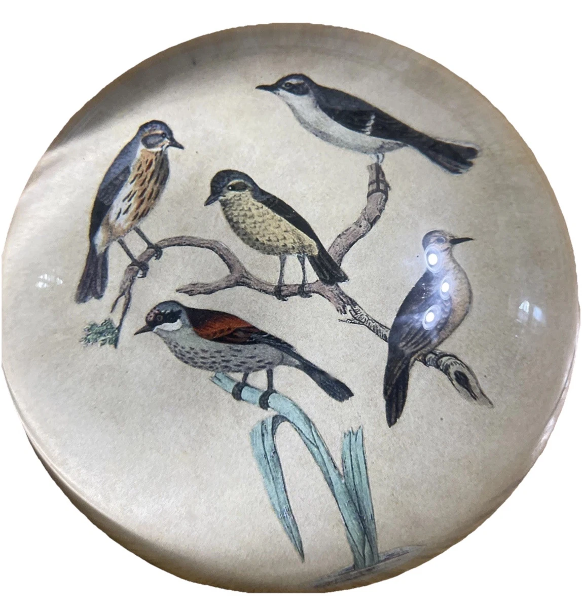 John Derian for sale | eBay