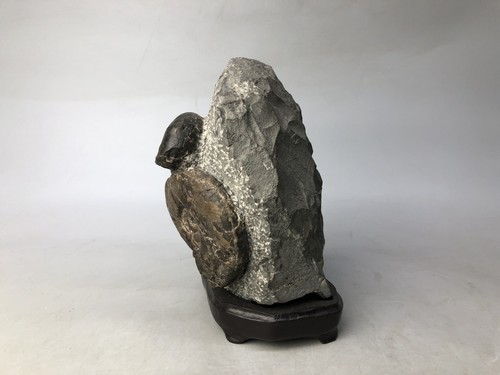Y8087 OKIMONO Viewing stone Fossil wooden stand Japan antique interior decor - Picture 4 of 10