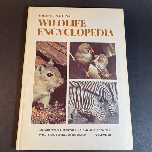 VTG 1969-70 International Wildlife Encyclopedia Hardcover Illustrated Vol 4-20 - Picture 22 of 24