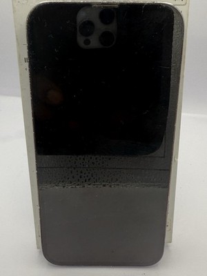 iPhone 13 Pro 256GB  (Unlocked) Silver