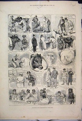 Alter antiker Druck 1882 Birmingham Fat Cattle Show Farmer Schwein Schaf Skizze 19.