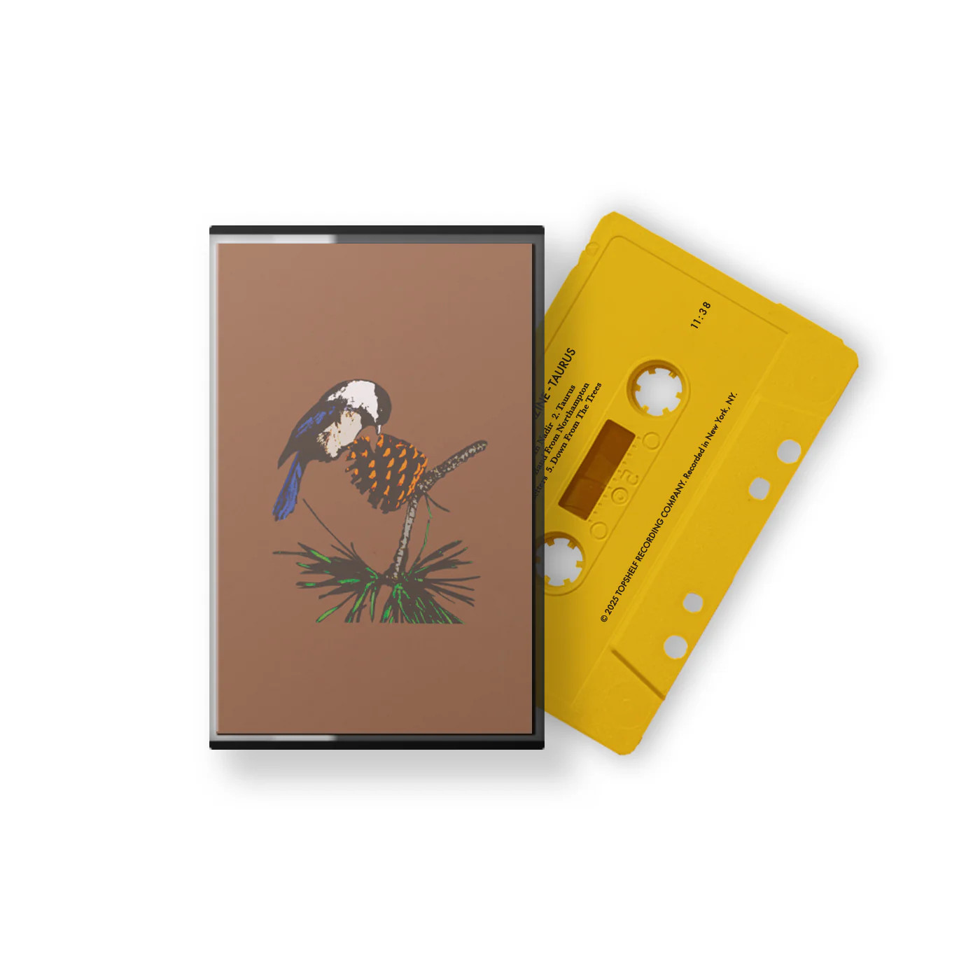 Peel Dream Magazine | Taurus | Tape
