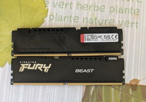 Kingston Fury Beast DDR5 8GB | eBay