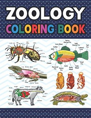 Zoology Coloring Book: Animal Anatomy Learning Workbook -  NEW Darjeylone Publ 2