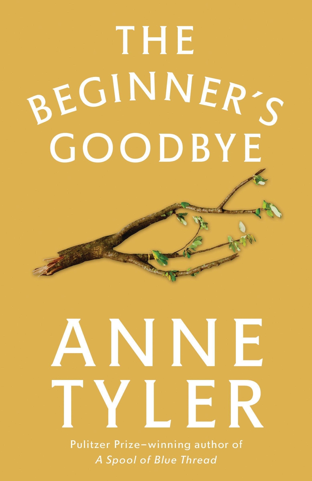 The Beginner's Goodbye Anne Tyler
