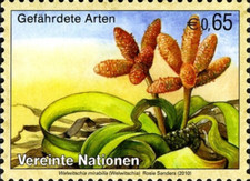 UN Vienna #Mi641 MNH 2010 Tree Tumbo Welwitschia mirabilis [467]