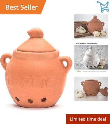 Garlic Keeper Terra Cotta 4.25 x 5.25 inches Porous Airflow Light Protecting Lid