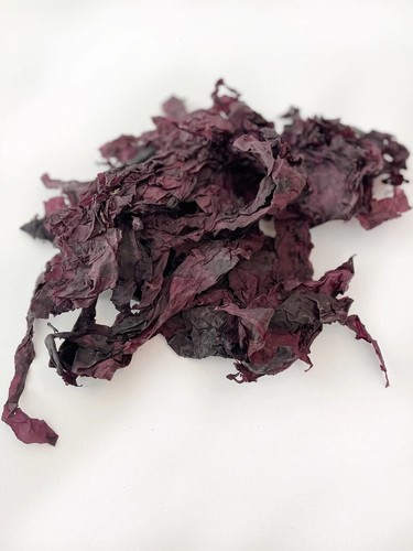 Atlantic Dulse Whole Leaf - Palmaria palmata - 100% Natural & Wildcrafted - Picture 5 of 11