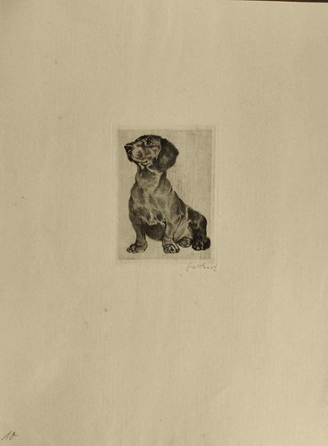 Kurt Meyer-Eberhardt * Dachshund * Small Etching. Signed