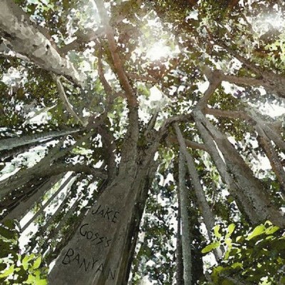 Looking Up CD