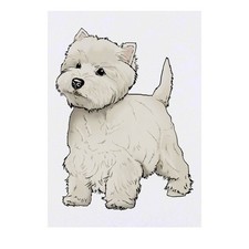 'Westie Dog' Temporary Tattoos / Transfers TO00041894