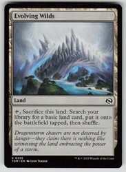 Evolving Wilds #255 Tarkir: Dragonstorm Common MTG