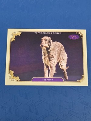2024 Topps Allen & Ginter Stars of Show The Westminster #SOS-21 Hickory Card 1I