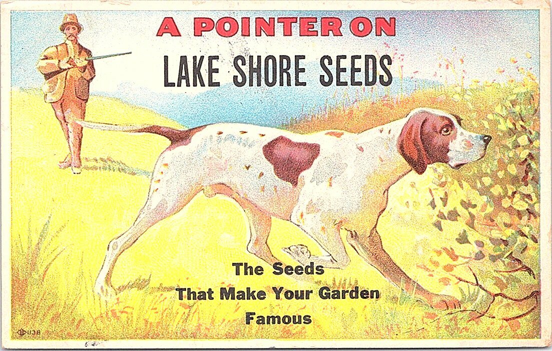 Advertising Post Card Lake Shore Seeds Hunting Scene w/ Dog 1915