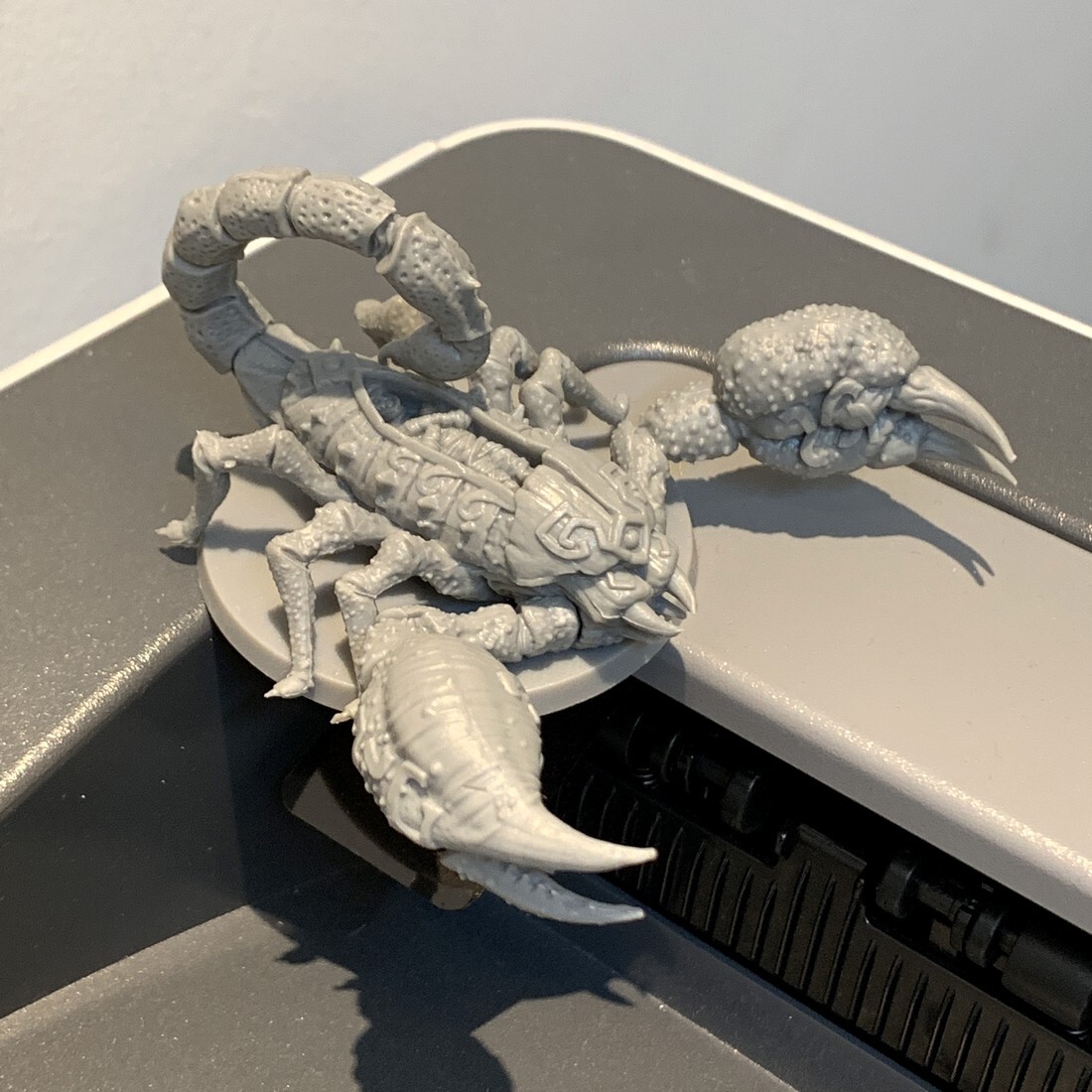 Picture 5 of 5