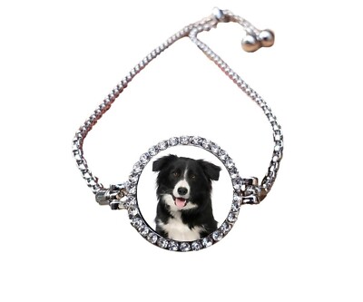 Border Collie Hund Haustier Silberfarben Armband mit Diamanten und Geschenkbox