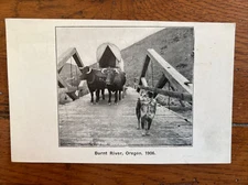 Original 1910 1st Ed RPPC BURNT RIVER OREGON 1906 Unposted Postcard 15A