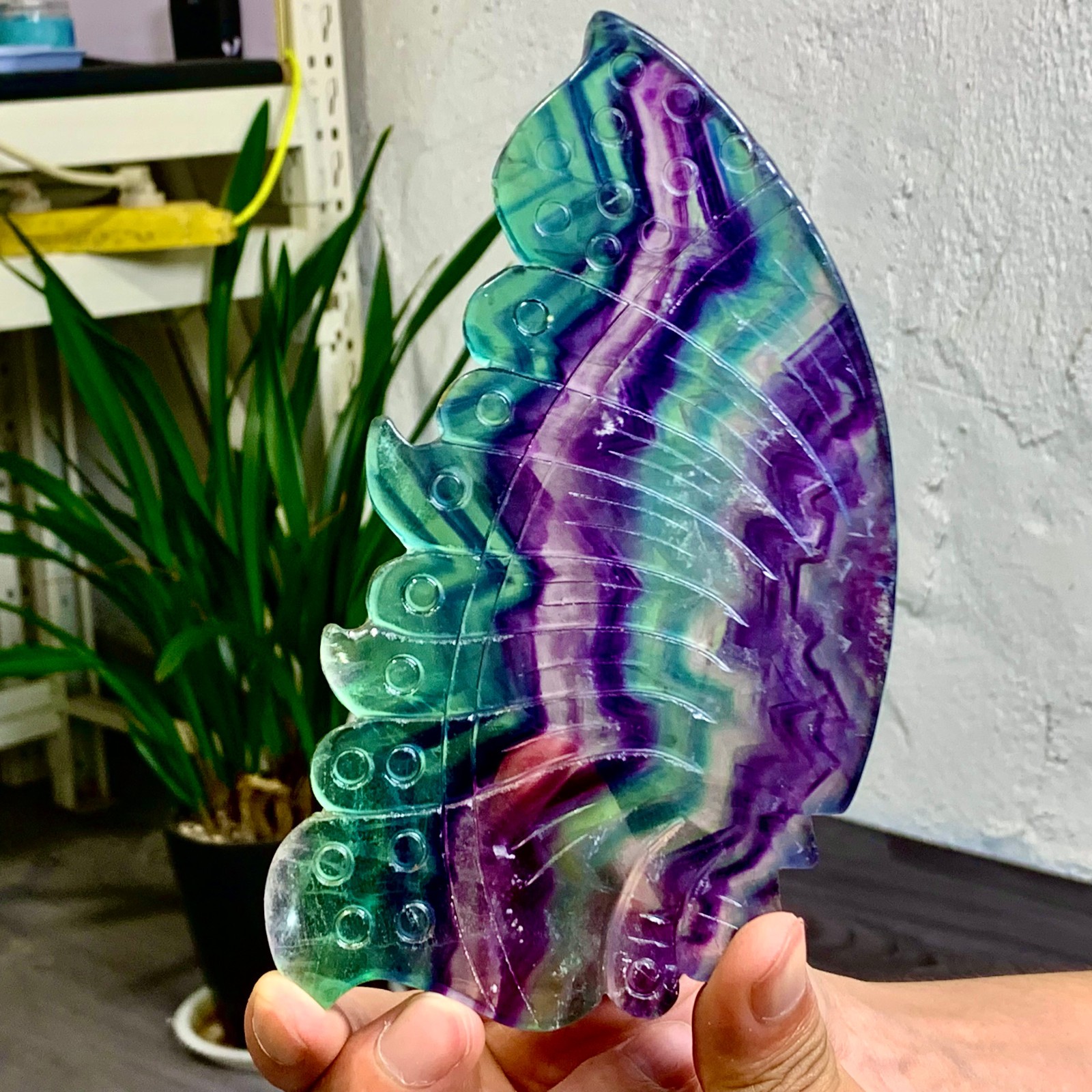 Rainbow Fluorite Butterfly Wing Crystal for Healing and Energy