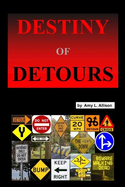 Destiny Of Detours Amy Allison Taschenbuch Kartoniert / Broschiert Englisch 2017-image