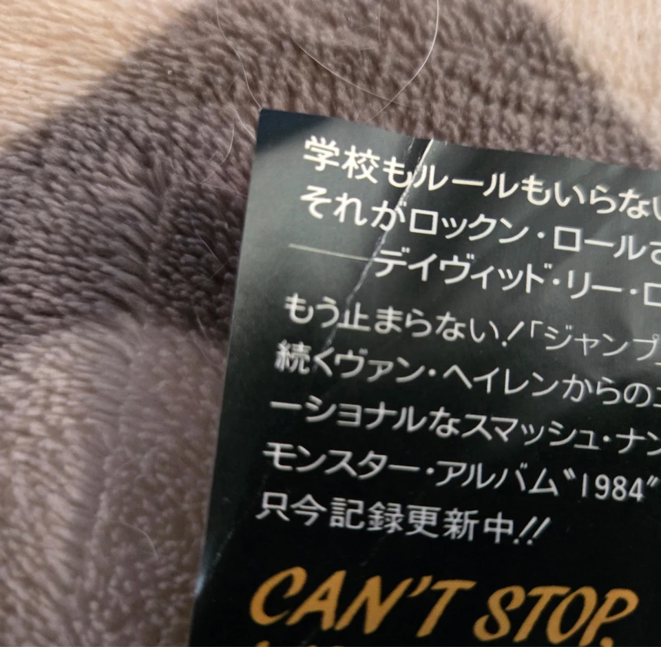 Van Halen-I'll Wait + One Japanese Promo Sample 45 7" Vinyl - Image 4 of 4