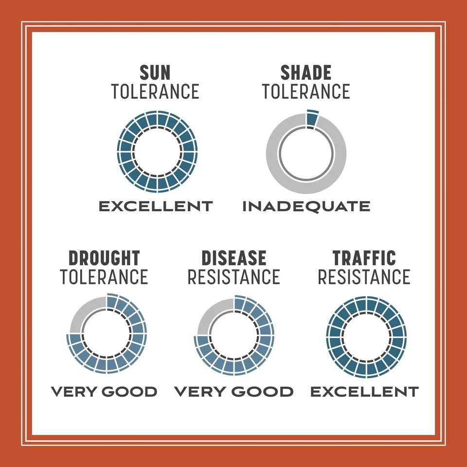 Mezcla de semillas de hierba Pennington Smart Seed Texas Bermudagrass, para pleno sol, 8,75 lb. Foto 2 de 4