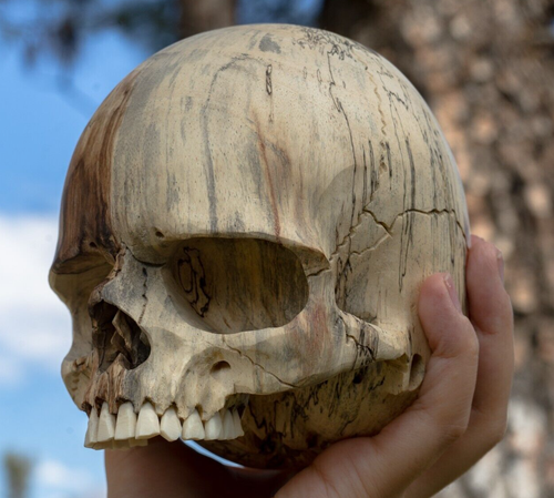 Jawless Wood Skull - Large 5.5" Hand Carved Human Skull Replica Skeleton Head