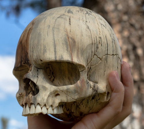 Jawless Wood Skull - Large 5.5" Hand Carved Human Skull Replica Skeleton Head - Picture 1 of 10