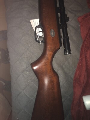 Beeman Sportsman R2 Series .177 Caliber Pellet Rifle | eBay