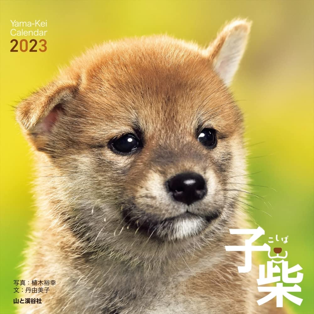 112カレンダー】沖田浩之 1983年カレンダー