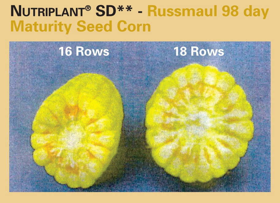 Micronutrient 25lb Nutriplant SD For Enhanced Root Growth & Crop Yields
