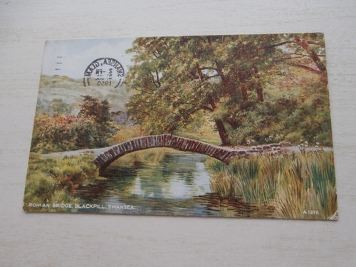 Swansea, Glamorgan - Roman Bridge Blackpill - 1950 Farbpostkarte (113)