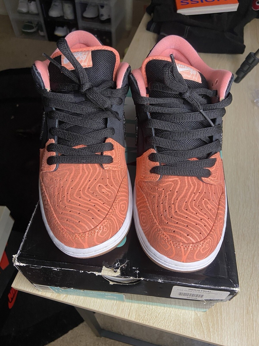 Size 11 Nike Premier x Dunk Pro SB Low Fish Ladder