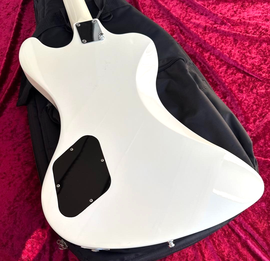EDWARDS E-T-100TR DIR EN GREY Toshiya Model Electric Bass Guitar