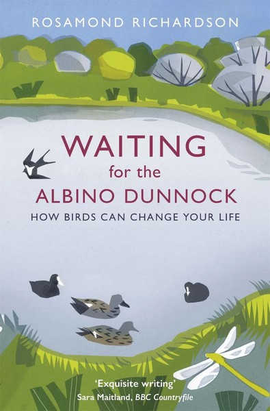 Waiting For The Albino Dunnock | How Birds Can Change Your Life | Richardson-image