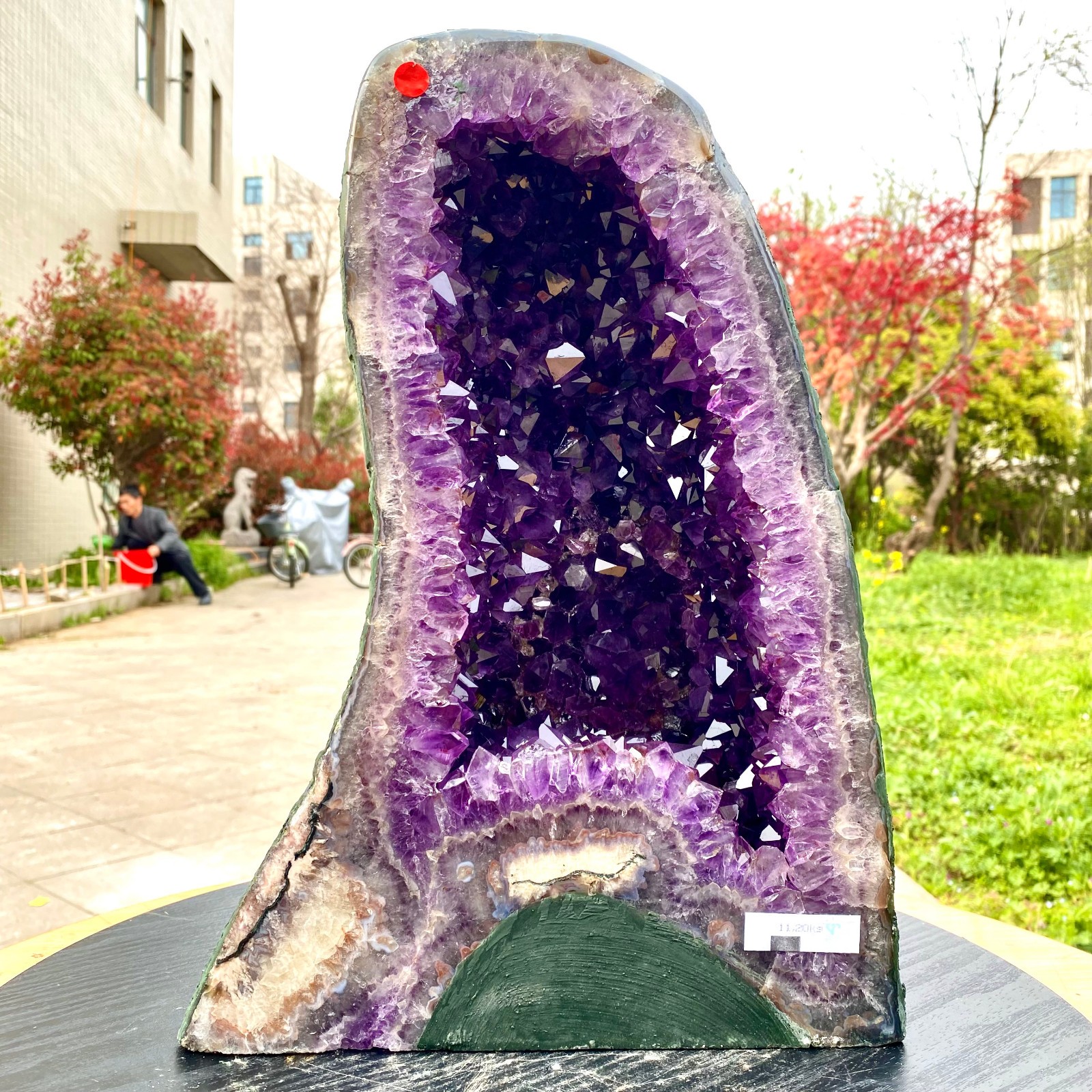 24.64LB  Natural Amethyst Crystal Church Cathedral Geode Mineral Specimen