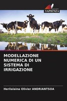 Modellazione Numerica DI UN Sistema DI Irrigazione Andriantsoa Taschenbuch 2025