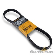 CONTINENTAL KEILRIPPENRIEMEN 6PK894 FÜR CITROEN DS MINI OPEL PEUGEOT RENAULT VW