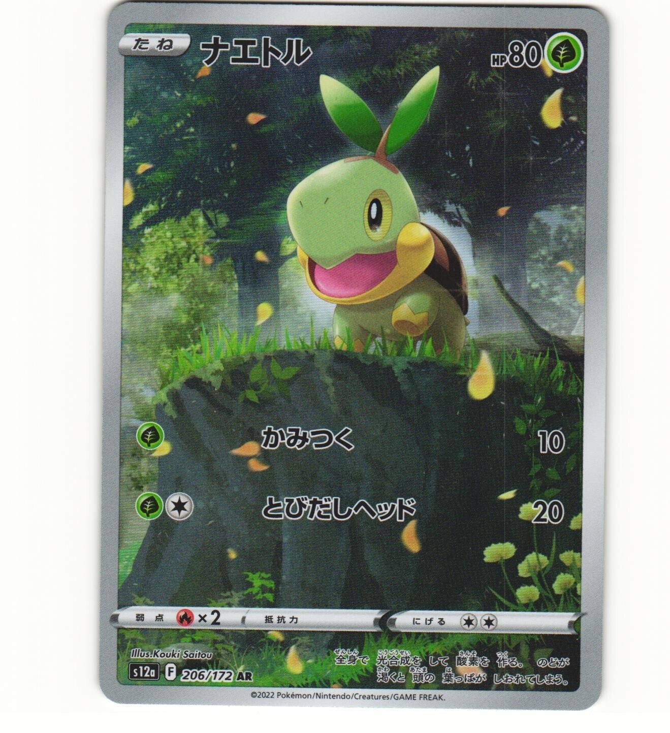2022 Near Mint NM Pokemon Turtwig 206/172 s12a VSTAR Universe Japanese