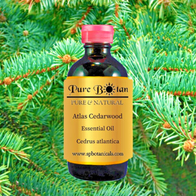 8 oz Atlas Cedarwood Essential Oil 100% PURE NATURAL Therapeutic Glass Bottle