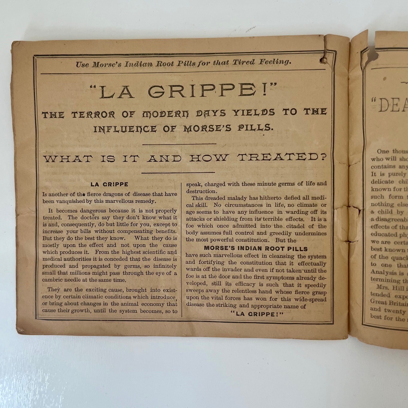 Dr. Morse's Indian Root Pills Cookbook 1890s Patent Medicine Ephemera