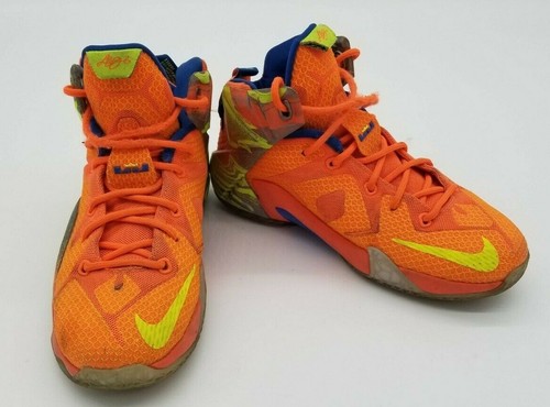 lebron 12 meridian