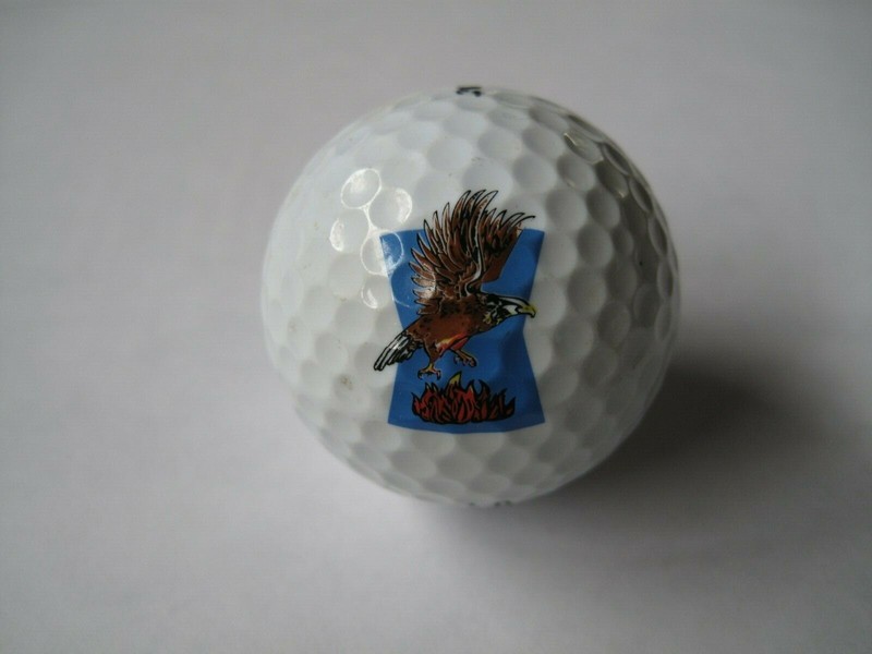 Eagle over Fire Logo Golf Ball New Titleist Fire Pit Flames Colorful