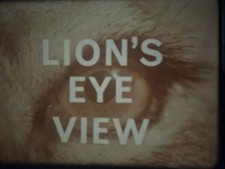 16mm Lions Eye View Rigby 1968 800' Faded Color