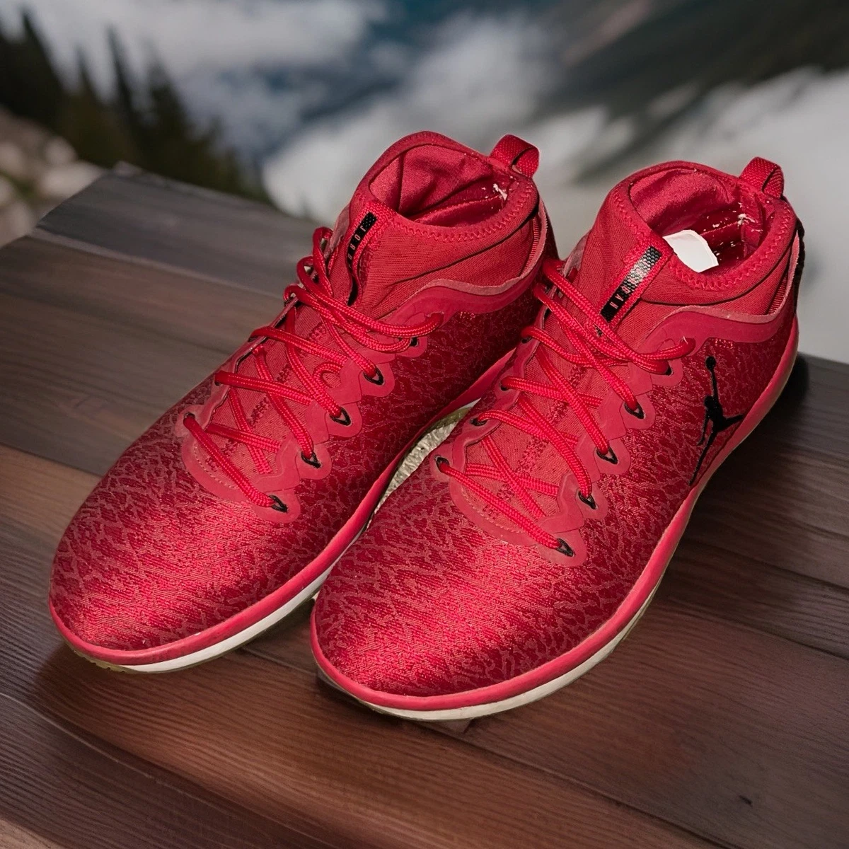 Jordan Trainer 1 for Sale | Authenticity Guaranteed | eBay