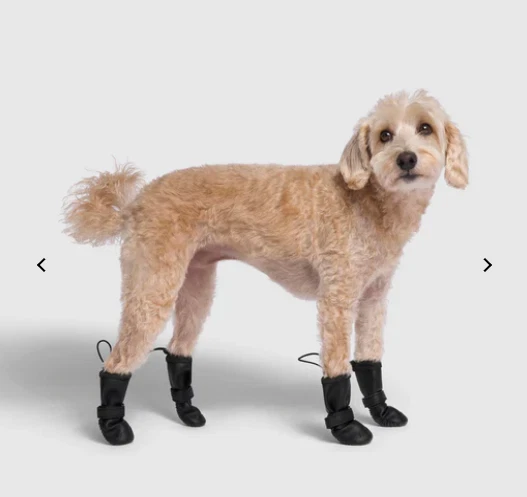 NWT Canada Pooch Waterproof Rain Boots