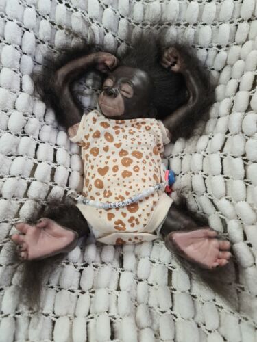 Reborn Baby Affe Gorilla Puppen lange ausverkauft Pearl. Boxöffnung gewichtet 5 Pfund - Bild 3 von 22