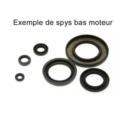 Satz Simmerringe CENTAURO 666A120SR CBR R (JC34) R (JC50) oil seal set